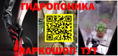 дурь Кандалакша