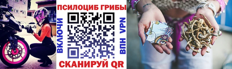 что такое наркотик  Туймазы  Галлюциногенные грибы Psilocybe 