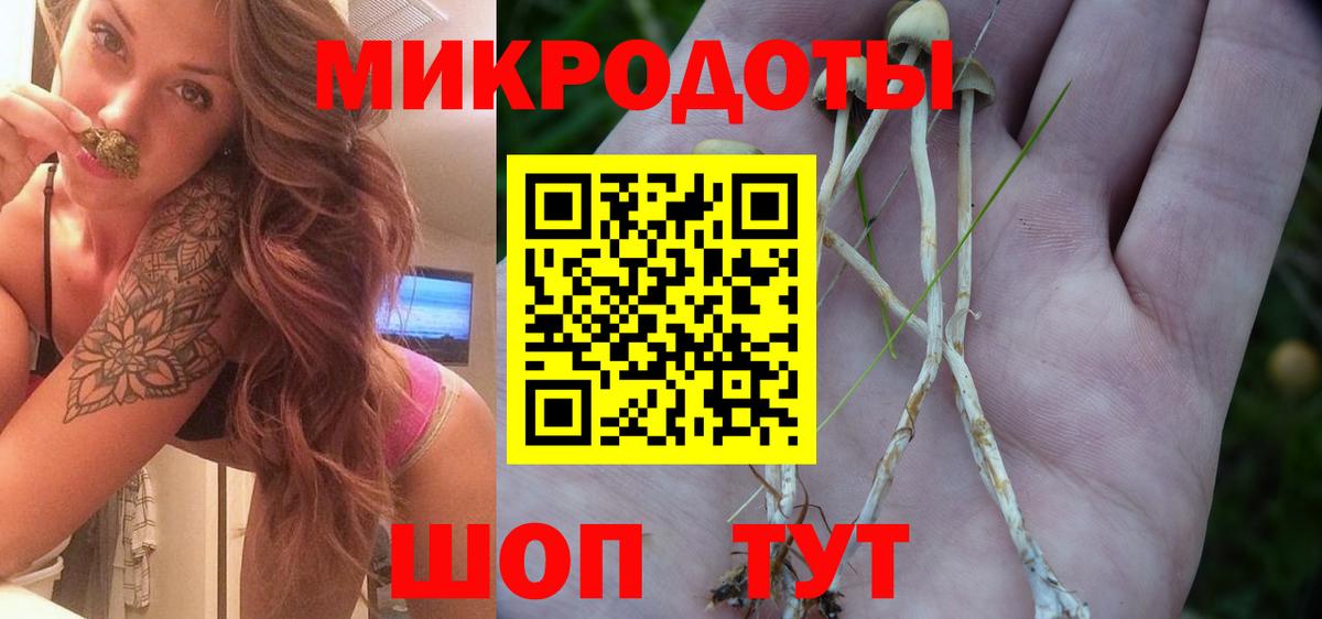 Галлюциногенные грибы прущие грибы Туймазы