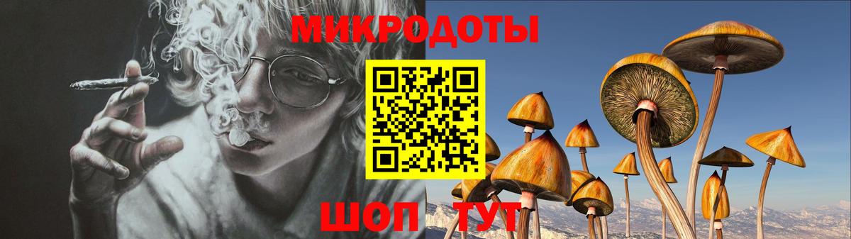 Псилоцибиновые грибы Psilocybe  Вход с VPN  Туймазы 